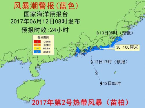 汕尾苗柏最新消息